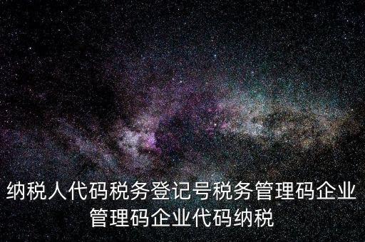 納稅人管理代碼是什么，納稅人代碼稅務(wù)登記號(hào)稅務(wù)管理碼企業(yè)管理碼企業(yè)代碼納稅