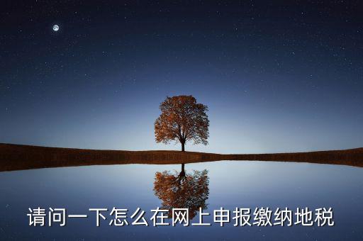 請問一下怎么在網上申報繳納地稅