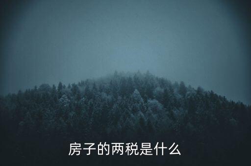 兩稅清查是指什么，房子的兩稅是什么