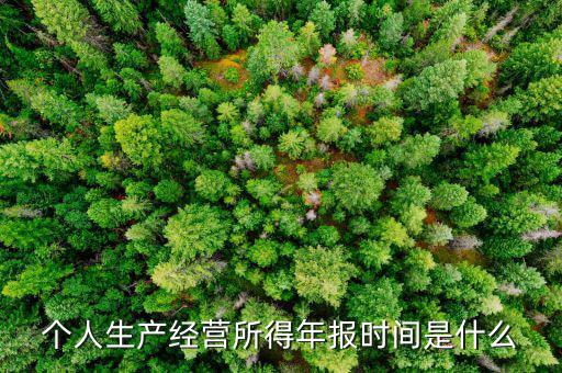 個人生產經營所得年報時間是什么