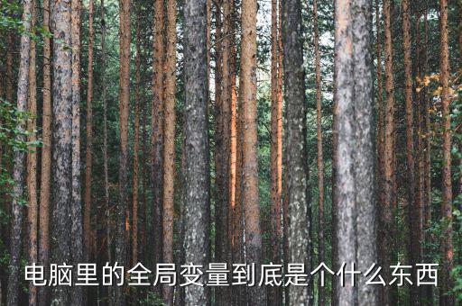 全局是什么意思，什么是指導(dǎo)全局工作決定全局命運(yùn)的方針方式和計(jì)劃