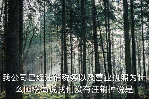 我公司已經(jīng)注銷(xiāo)稅務(wù)以及營(yíng)業(yè)執(zhí)照為什么國(guó)稅局說(shuō)我們沒(méi)有注銷(xiāo)掉說(shuō)是