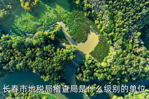 長春市地稅局稽查局是什么級(jí)別的單位