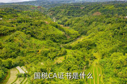 國(guó)稅CA證書(shū)是什么