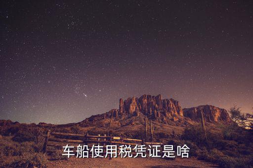 車船稅繳納憑證是什么意思，車船使用稅憑證是啥