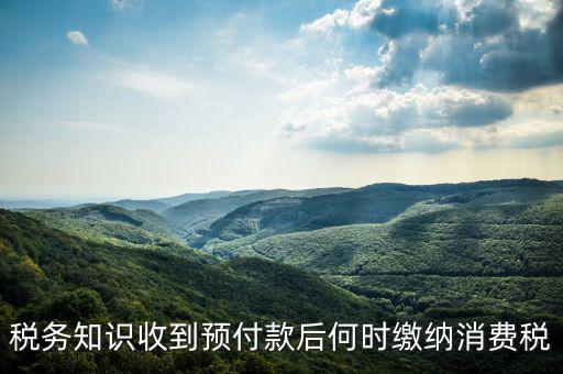 消費稅是什么時候交，各種稅費交納時間