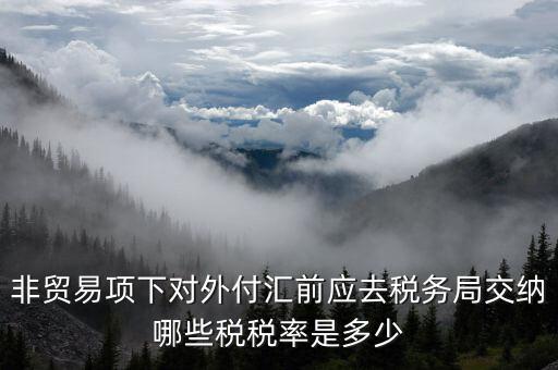 為什么非貿(mào)易付匯要繳稅，公司剛剛做了筆非貿(mào)易付匯紅利股息匯出問一下匯出金額是要扣