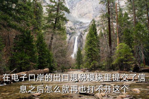 為什么退稅平臺進(jìn)不去，在電子口岸的出口退稅模塊里提交了信息之后怎么就再也打不開這個