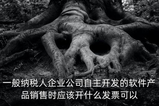 賣軟件交什么稅，一般納稅人企業(yè)公司自主開發(fā)的軟件產(chǎn)品銷售時應(yīng)該開什么發(fā)票可以