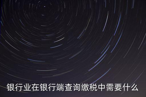 銀行端查詢繳稅要帶些什么，銀行業(yè)在銀行端查詢繳稅中需要什么