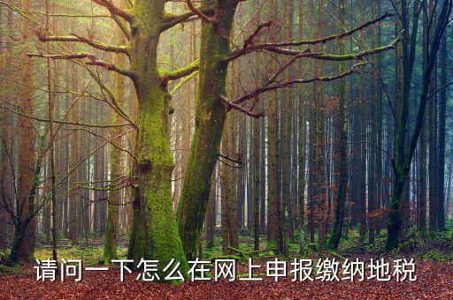 地稅個稅網(wǎng)址是什么，如何查詢個人所得稅明細(xì)