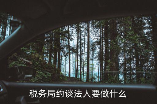 稅務(wù)異常約談法定代表干什么，稅務(wù)局約談法人要做什么