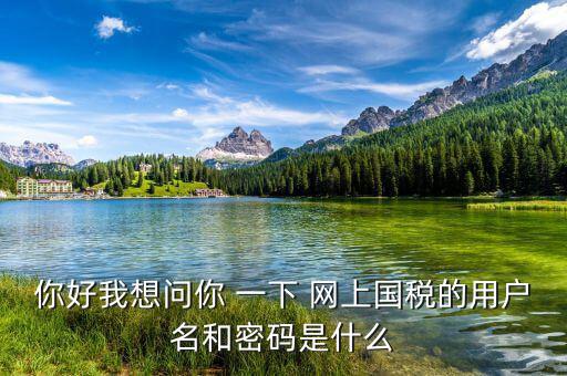 你好我想問(wèn)你 一下 網(wǎng)上國(guó)稅的用戶(hù)名和密碼是什么