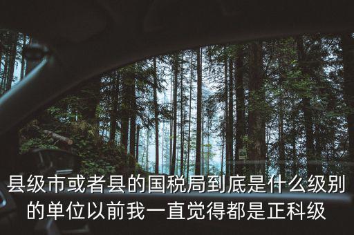 縣國(guó)稅局辦稅服務(wù)廳主任是什么級(jí)別，縣地稅局辦公室主任是什么行政級(jí)別
