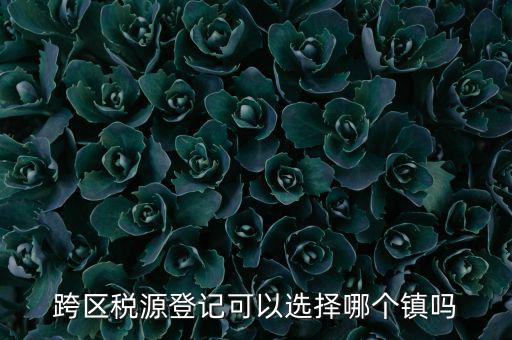 跨區(qū)稅源登記是什么，跨區(qū)稅源登記能否登記為一般納稅人