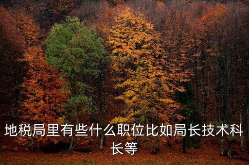 地稅局有什么委員，地級市稅務(wù)局辦公室副主任屬什么級別的官員