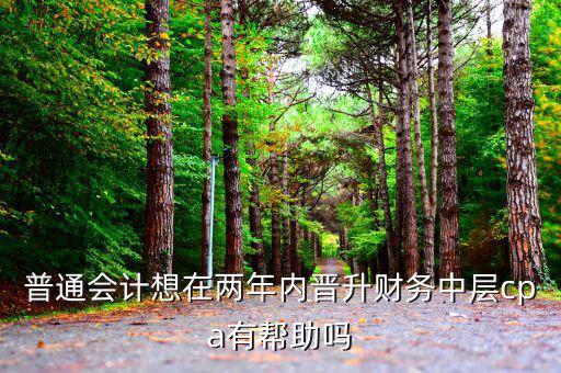 國稅有什么升職路線，普通會計想在兩年內(nèi)晉升財務(wù)中層cpa有幫助嗎