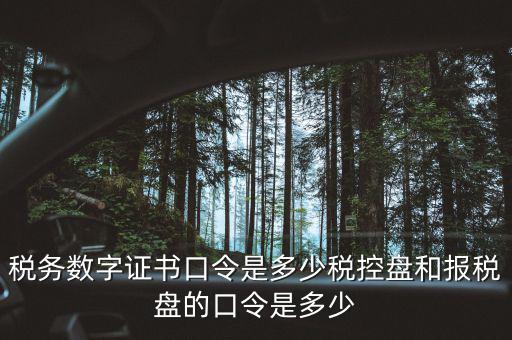 國稅證書口令是什么，我想問下國家稅務(wù)網(wǎng)上申報(bào)點(diǎn)擊安全登錄時(shí)出現(xiàn)的用戶口令是什么