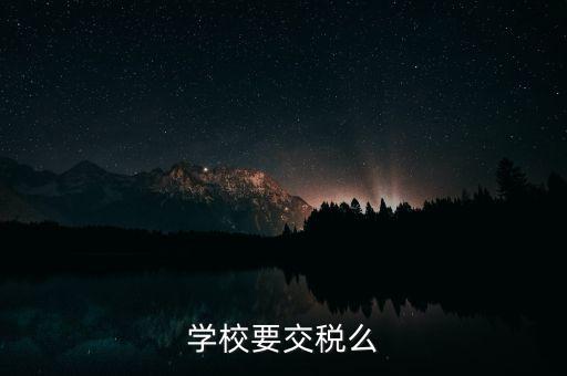 民辦學(xué)校交什么稅，你好我想問(wèn)問(wèn)民辦學(xué)?？梢砸髮W(xué)生補(bǔ)課嗎把補(bǔ)課的錢(qián)作為必交費(fèi)