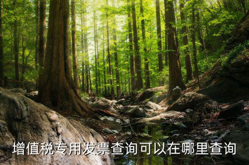 什么地方可以查發(fā)票內(nèi)容，怎樣通過發(fā)票號(hào)碼查尋發(fā)票內(nèi)容
