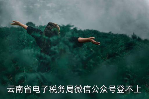 為什么云南省國家稅務局進不去，云南省電子稅務局微信公眾號登不上