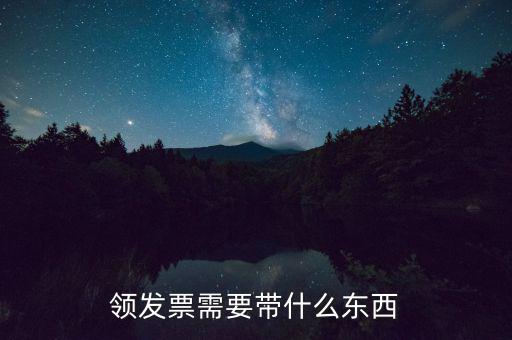 領發(fā)票需要帶什么東西