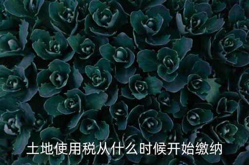 土地使用稅什么時(shí)候開(kāi)始交，什么時(shí)候開(kāi)始繳納房產(chǎn)稅和土地使用稅是否都要繳納