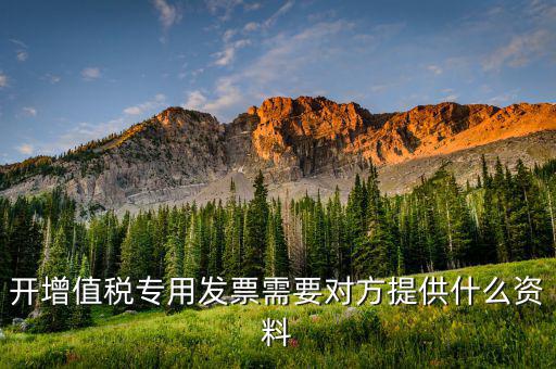 開增值稅專用票需要對方提供什么資料，銷售方開具增值稅專用發(fā)票需要對方提供什么資料