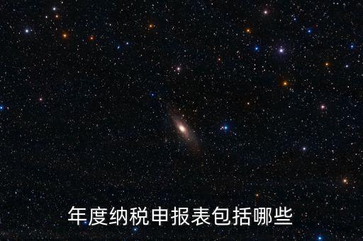 什么是年度納稅申報(bào)表，年度納稅申報(bào)表包括哪些