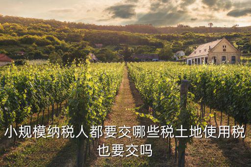 小規(guī)模納稅人交什么稅，小規(guī)模納稅人要交哪些稅