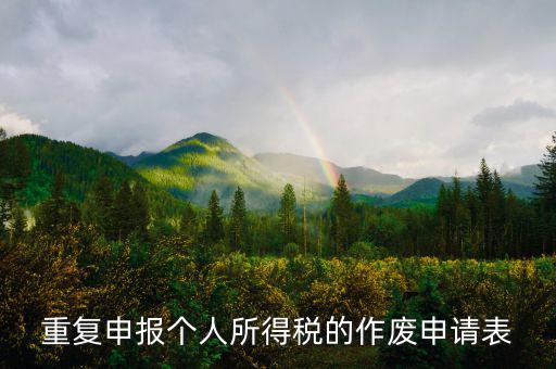 申報表作廢申請單 要帶什么，國稅報表作廢帶什么