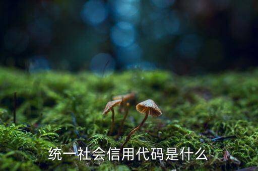 營業(yè)執(zhí)照統(tǒng)一社會信用代碼是什么，營業(yè)執(zhí)照上的統(tǒng)一社會信用代碼是什么意思