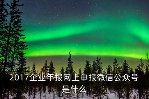 企業(yè)申報(bào)客戶端是什么意思，2017企業(yè)年報(bào)網(wǎng)上申報(bào)微信公眾號(hào)是什么