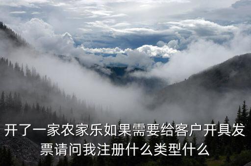 我要是以開普票為主 注冊什么性質的公司好，開了一家農家樂如果需要給客戶開具發(fā)票請問我注冊什么類型什么