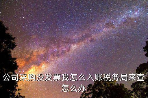 采購(gòu)時(shí)沒有發(fā)票為什么不能入賬，公司采購(gòu)沒發(fā)票我怎么入賬稅務(wù)局來查怎么辦