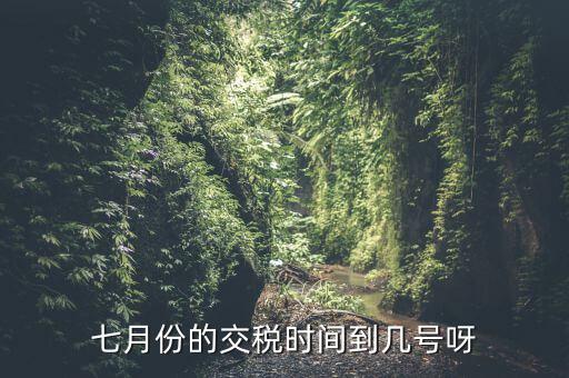 福建地稅7月報(bào)稅到什么時(shí)候，請(qǐng)問7月份國(guó)稅地稅的征期截止到哪天