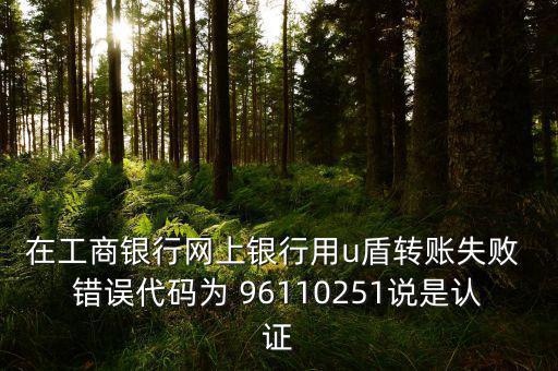 在工商銀行網(wǎng)上銀行用u盾轉(zhuǎn)賬失敗 錯誤代碼為 96110251說是認證