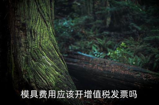 模具設(shè)計開發(fā)費開什么發(fā)票，模具開發(fā)及制造費一般開什么發(fā)票明細
