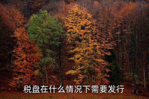 稅控盤變更發(fā)行是什么意思，更換稅控盤需要什么