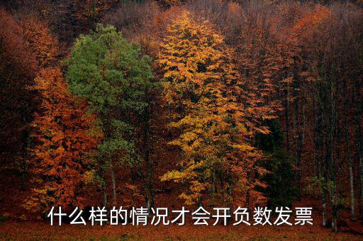 負(fù)數(shù)發(fā)票是什么意思，負(fù)數(shù)普通票什么意思
