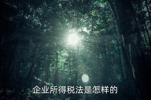 什么是企業(yè)所得稅法，企業(yè)所得稅法是怎樣的