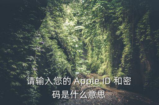 查詢個(gè)稅 密碼是輸入什么，請輸入您的 Apple ID 和密碼是什么意思