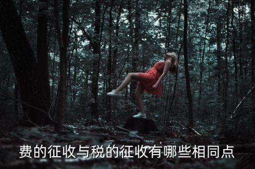 稅與費有什么區(qū)別 稅收具有，費的征收與稅的征收有哪些相同點