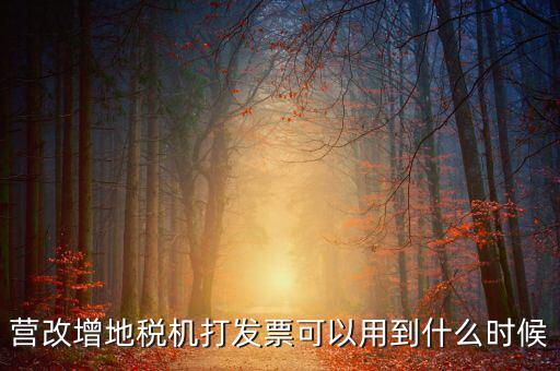 地稅發(fā)票能用到什么時(shí)候，納稅人已領(lǐng)取地稅機(jī)關(guān)印制的發(fā)票可以使用到什么時(shí)候