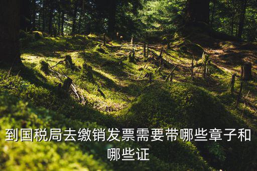 繳銷(xiāo)出口商品統(tǒng)一發(fā)票要蓋什么章，到國(guó)稅局去繳銷(xiāo)發(fā)票需要帶哪些章子和哪些證
