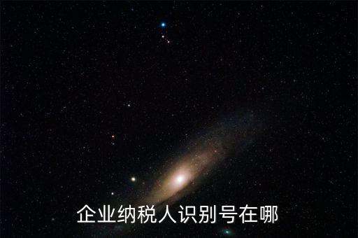 什么是企業(yè)識別號，購票企業(yè)識別號 是不是 我們企業(yè)的稅號