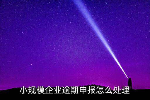 小規(guī)模納稅人如果沒有按時申報有什么后果，小規(guī)模不報稅什么后果
