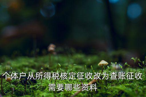 個(gè)體戶(hù)從所得稅核定征收改為查賬征收需要哪些資料