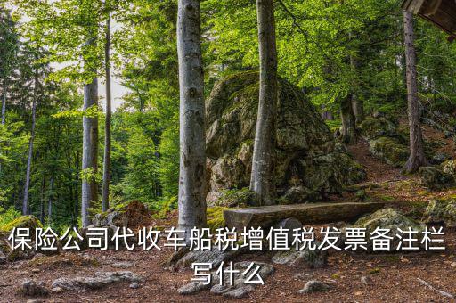 保險公司代開車船稅備注注什么，請問一下發(fā)票備注欄能夠?qū)懯裁?/></a></span><span id=