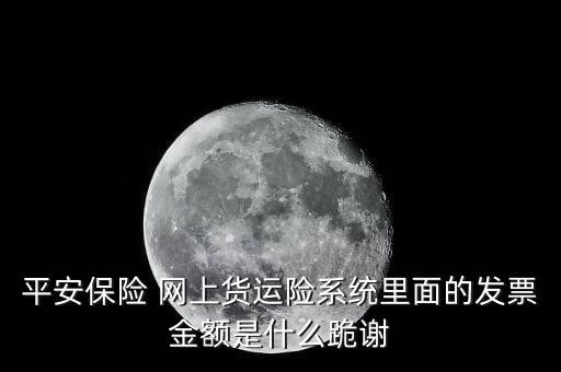 平安保險 網(wǎng)上貨運(yùn)險系統(tǒng)里面的發(fā)票金額是什么跪謝